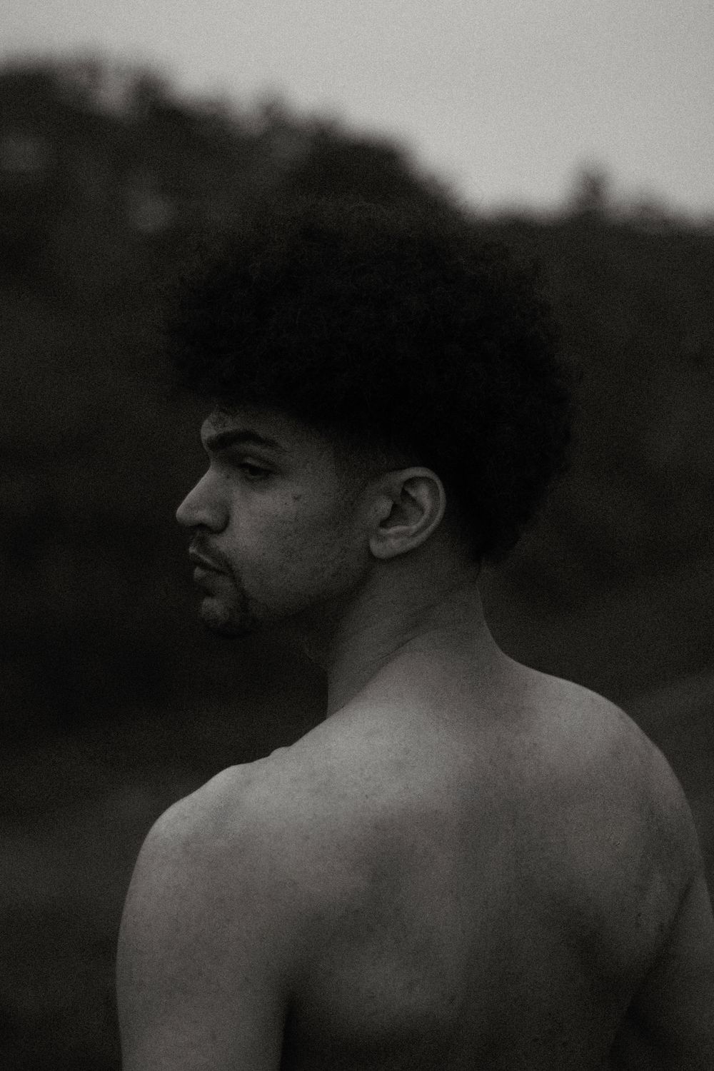 side profile of man with a dense afro taper haircut