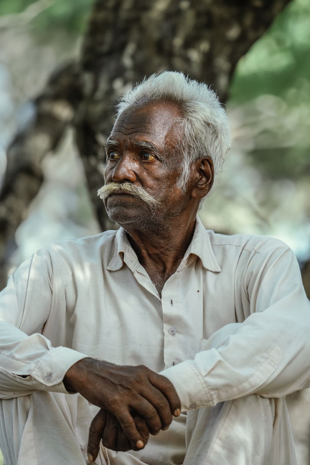 elderly man with short gray crop and mustache