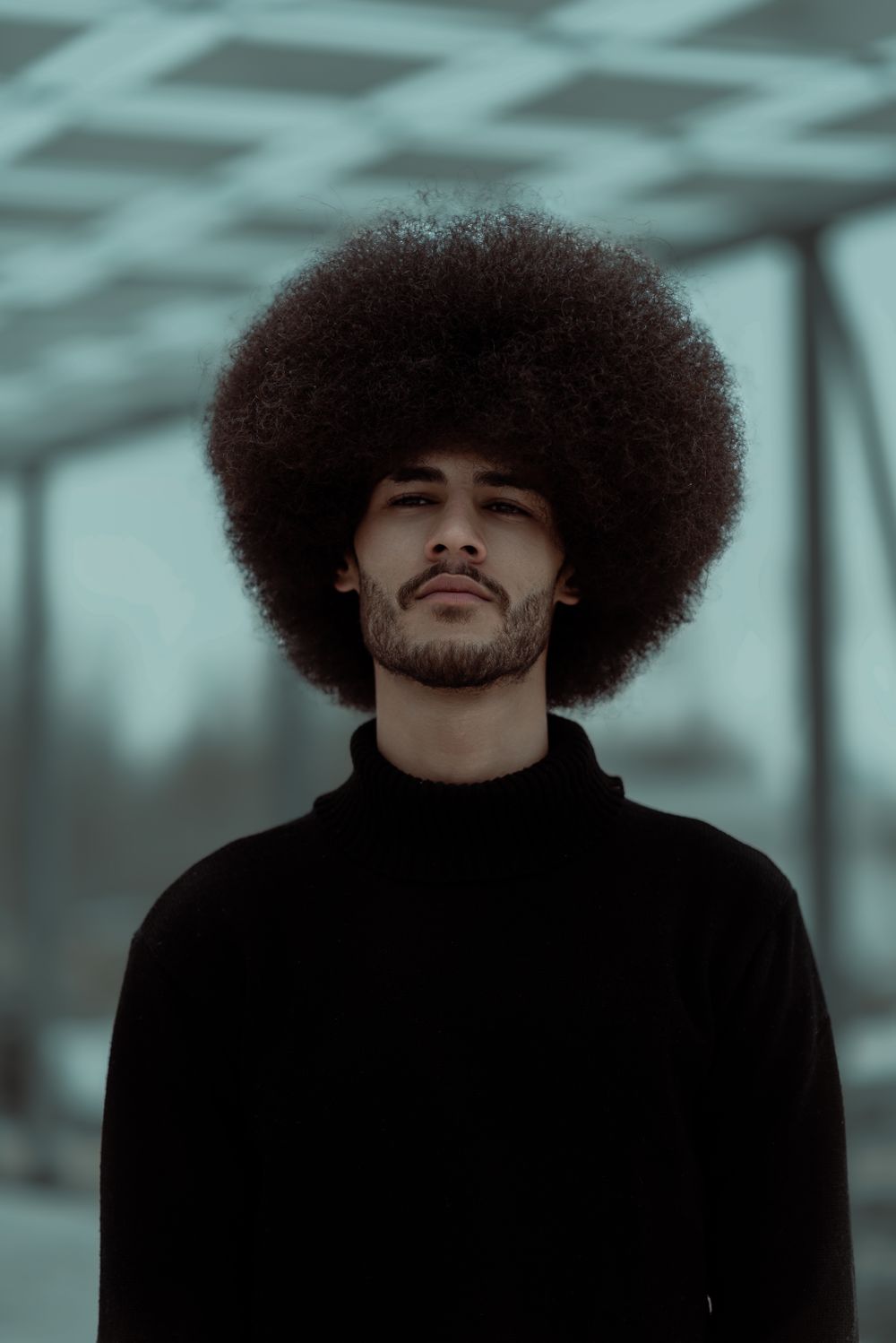 man with large structured afro silhouette