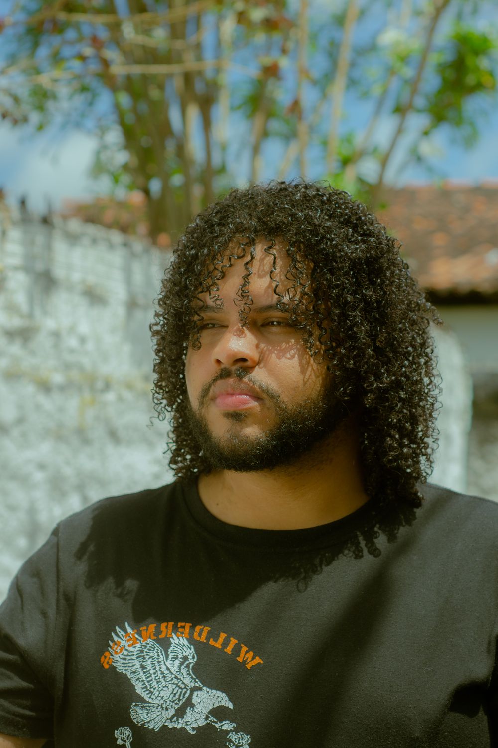 man with sunlit medium curly top hairstyle